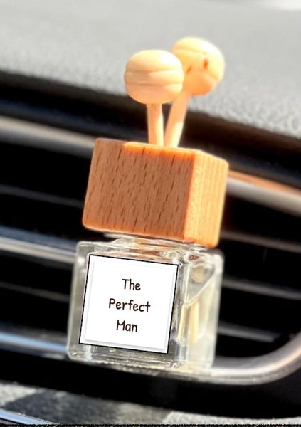 Vent Clip Car Freshener Diffuser